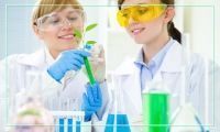 Tratamientos Bacteriológicos
